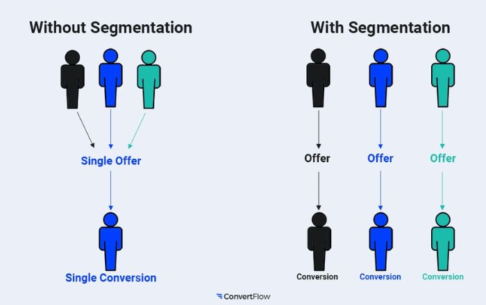 Audience segmentation, importance of demographic exclusion