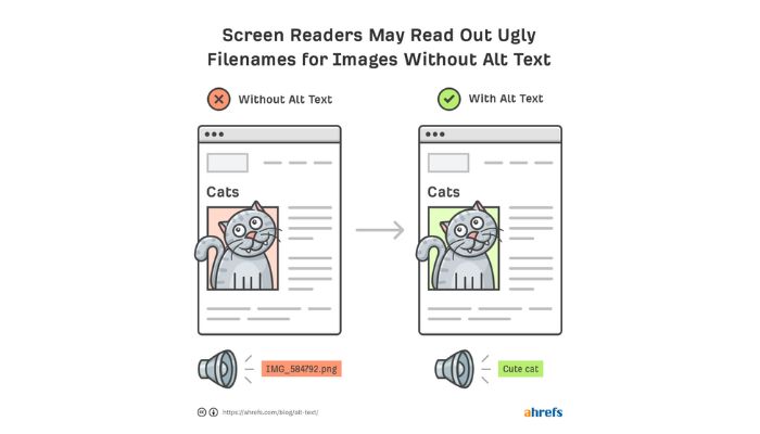 Importance of Alt text for accessibility
