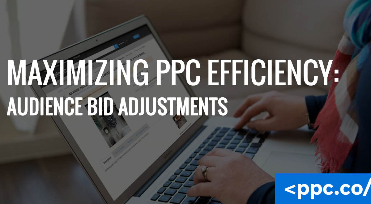 Maximizing PPC Efficiency Audience Bid Adjustments