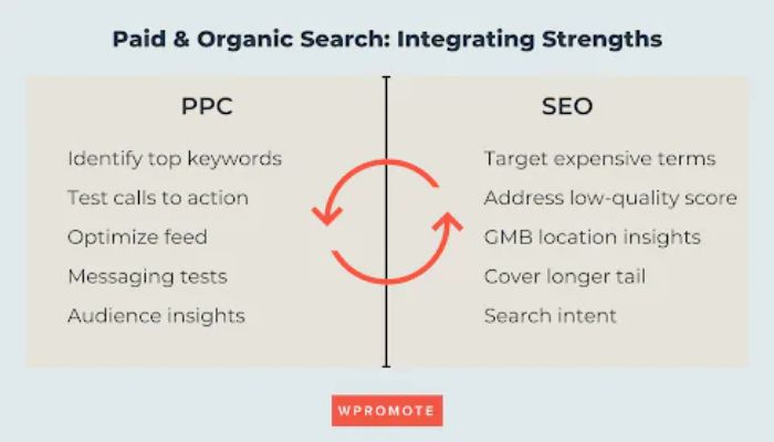 Uniting PPC and SEO data for comprehensive insights